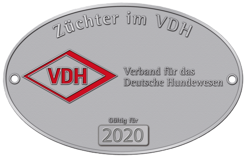 VDH ZIV Plakette 2019
